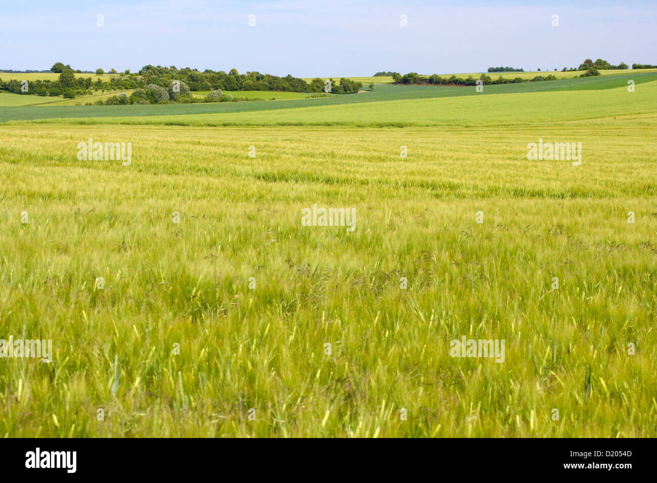 Il paesaggio agricolo tra Borg e Wehingen, Saarland, Germania, Europa Foto Stock