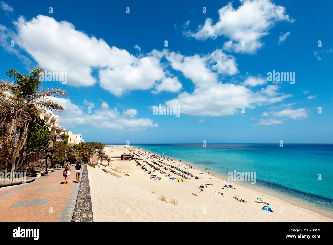 La spiaggia e il lungomare, Playa del Matorral, Morro Jable, Penisola di  Jandia, Fuerteventura, Isole Canarie, Spagna Foto stock - Alamy
