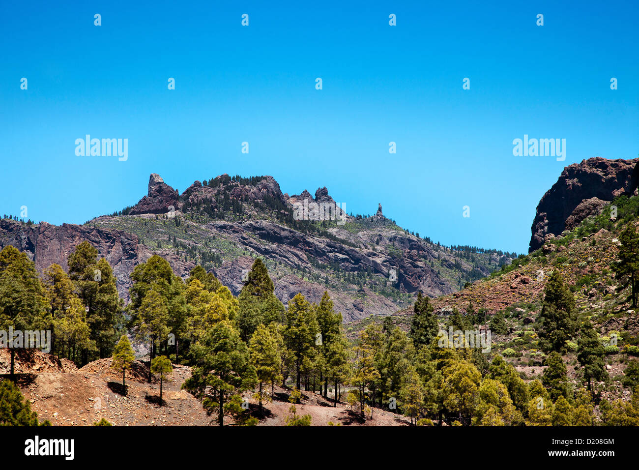 Paesaggio di montagna, Gran Canaria Isole Canarie Spagna Foto Stock