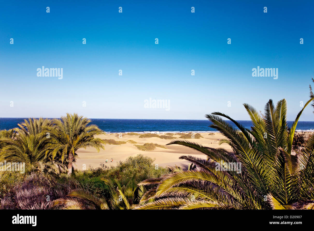 Dune di Maspalomas, Gran Canaria Isole Canarie Spagna Foto Stock