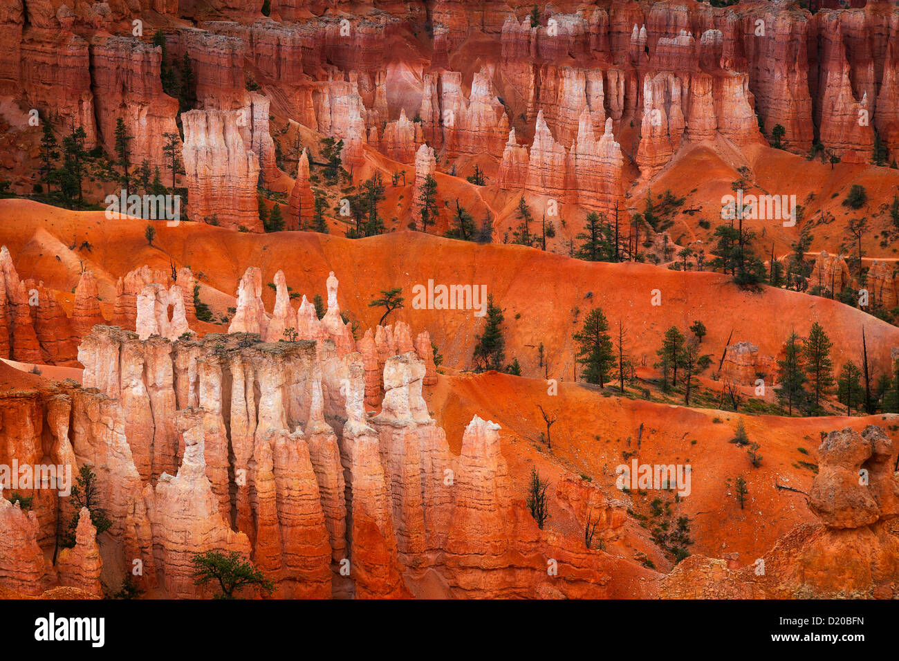 Close-up all'interno di Bryce Canyon Foto Stock