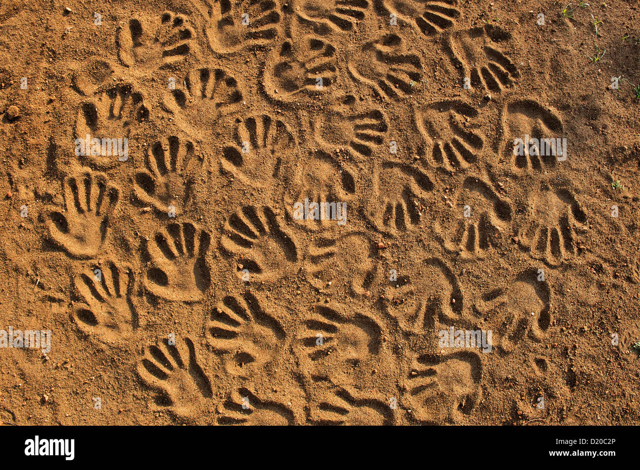 Stampe a mano in un modello circolare su una pista sterrata. India Foto Stock