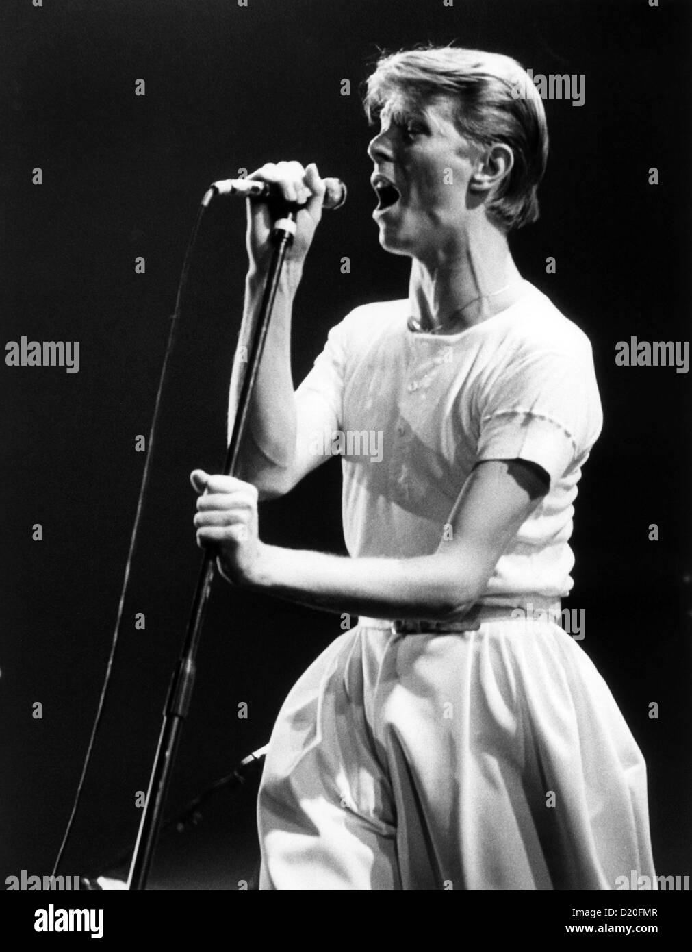 David Bowie in concerto il 14 maggio 1978 a la Festhalle di Francoforte - Germania. Foto Stock