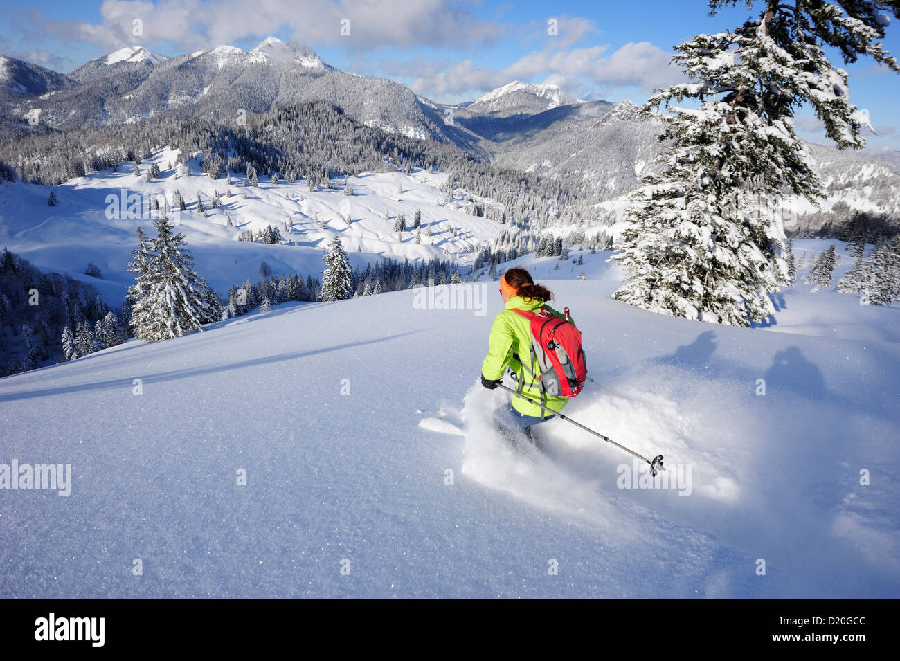 Donna discendente da Schildenstein su sci backcountry, Schildenstein, Tegernseer gamma, Prealpi bavaresi, Alta Baviera, Bavar Foto Stock