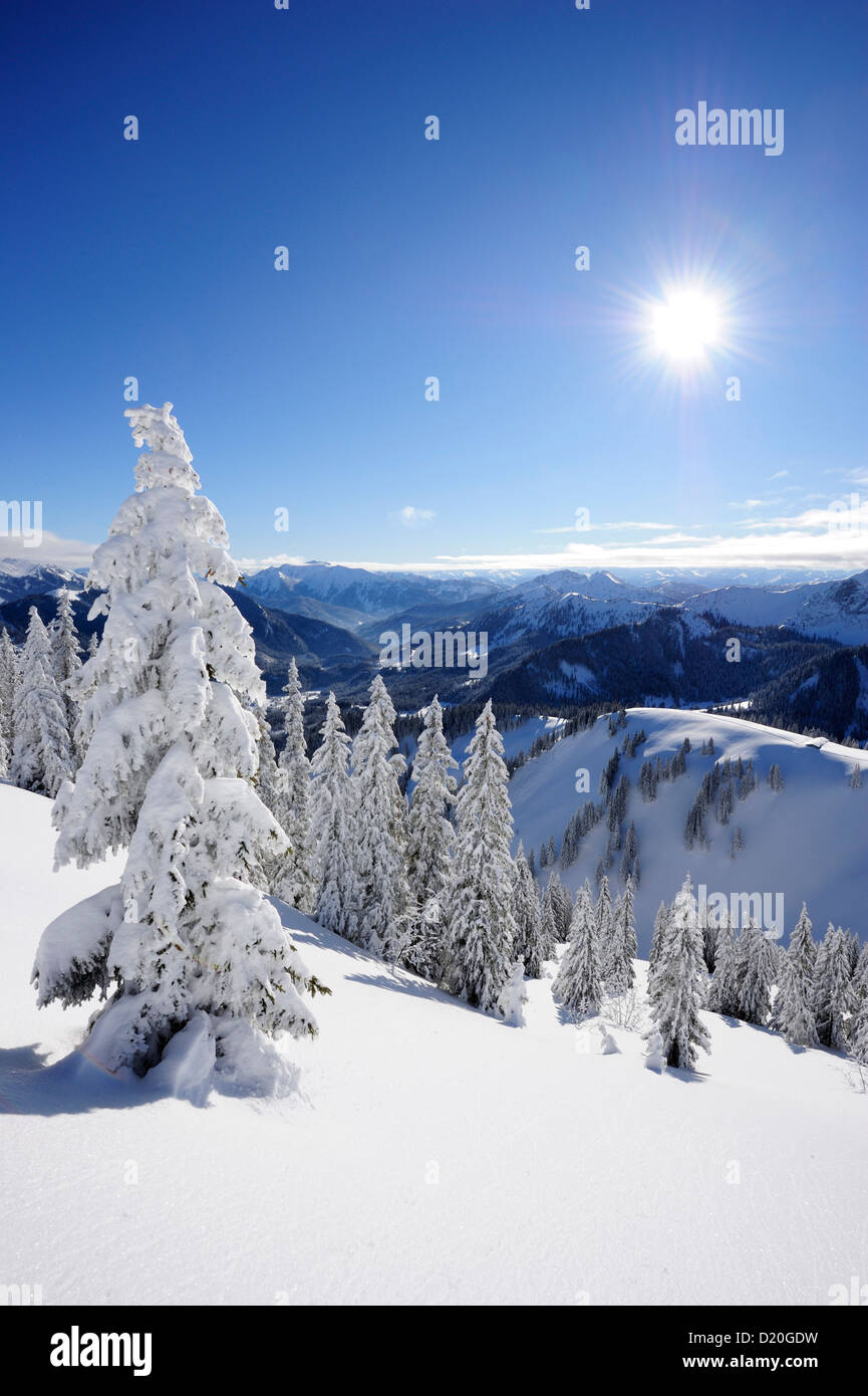 Inverno foresta a Wallberg, Wallberg, Tegernseer gamma, Prealpi bavaresi, Alta Baviera, Baviera, Germania Foto Stock