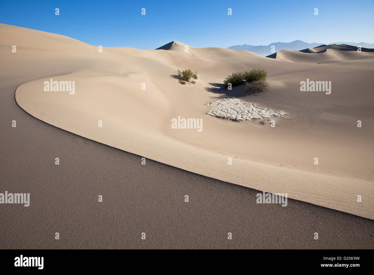 Mesquite Flat dune di sabbia, argilla incrinato e cespugli, Parco Nazionale della Valle della Morte, California, USA, America Foto Stock