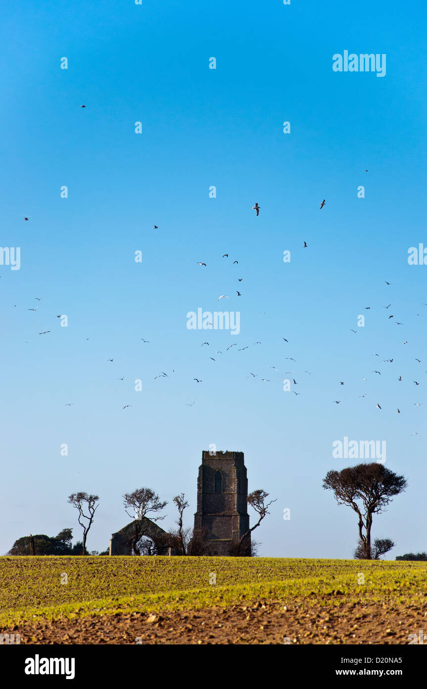 Ampio campo di prateria Foto Stock
