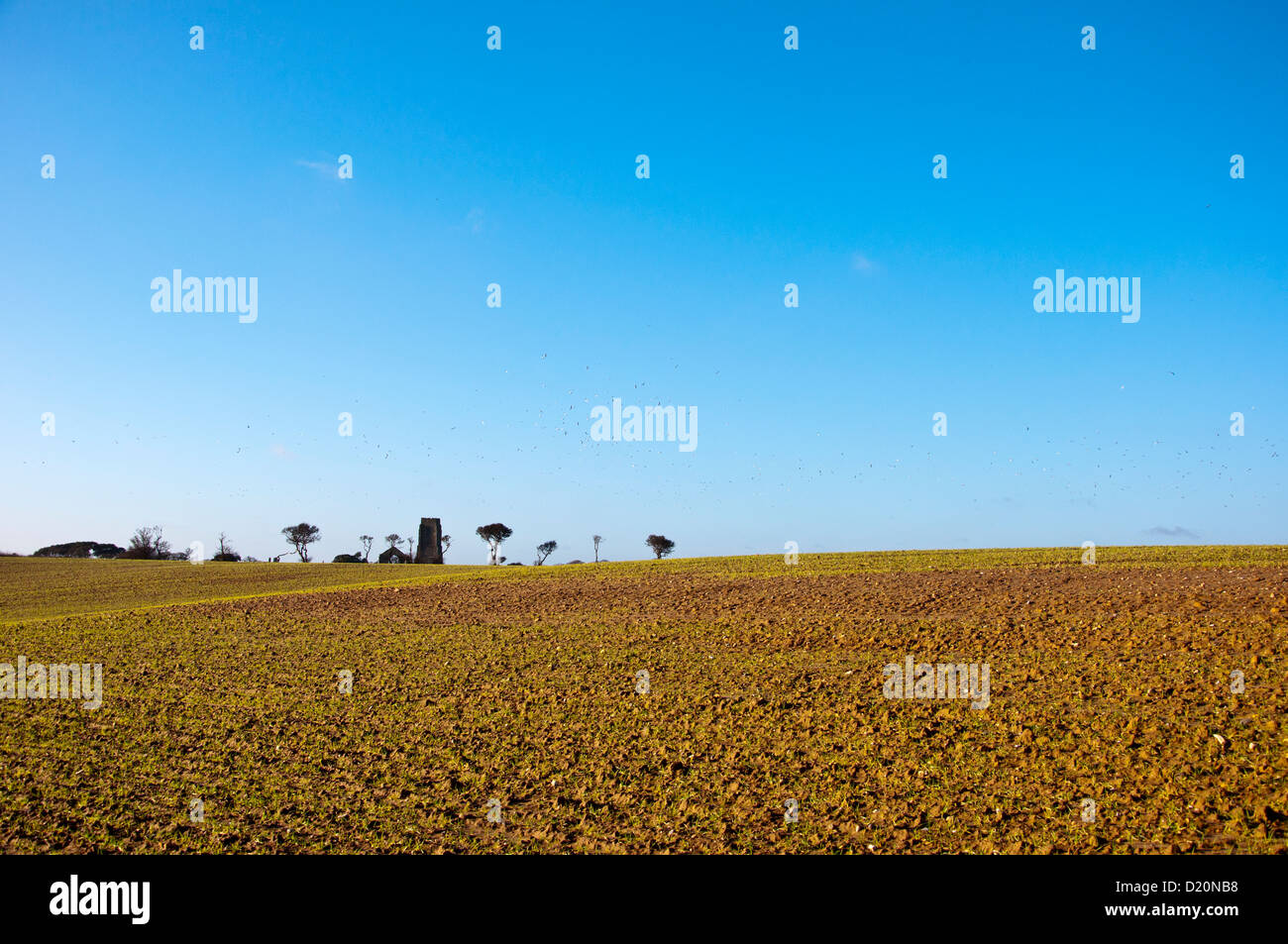 Ampio campo di prateria Foto Stock