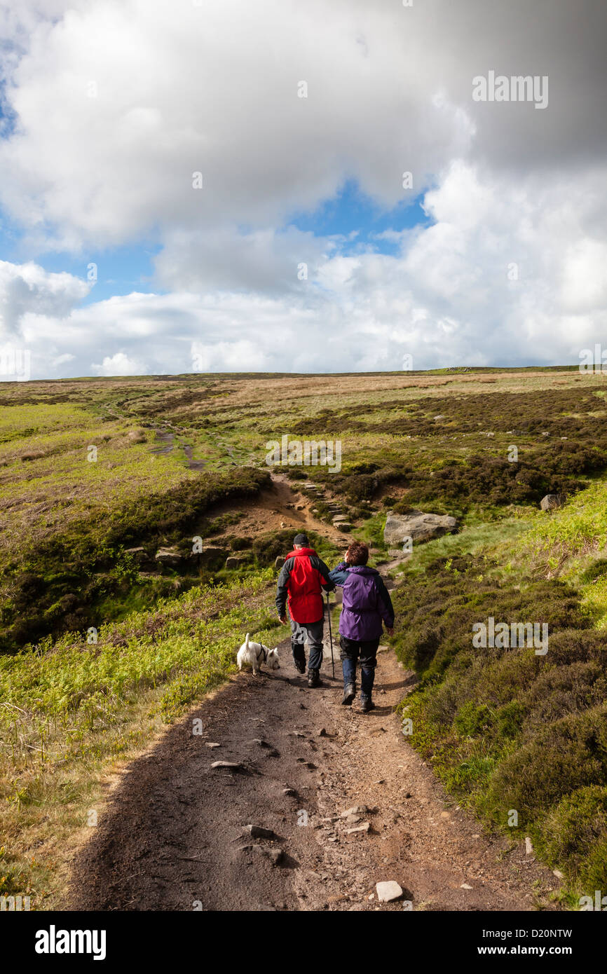 Dog walkers attraversando Ilkley Moor sul modo Dales sentiero, West Yorkshire, Regno Unito Foto Stock