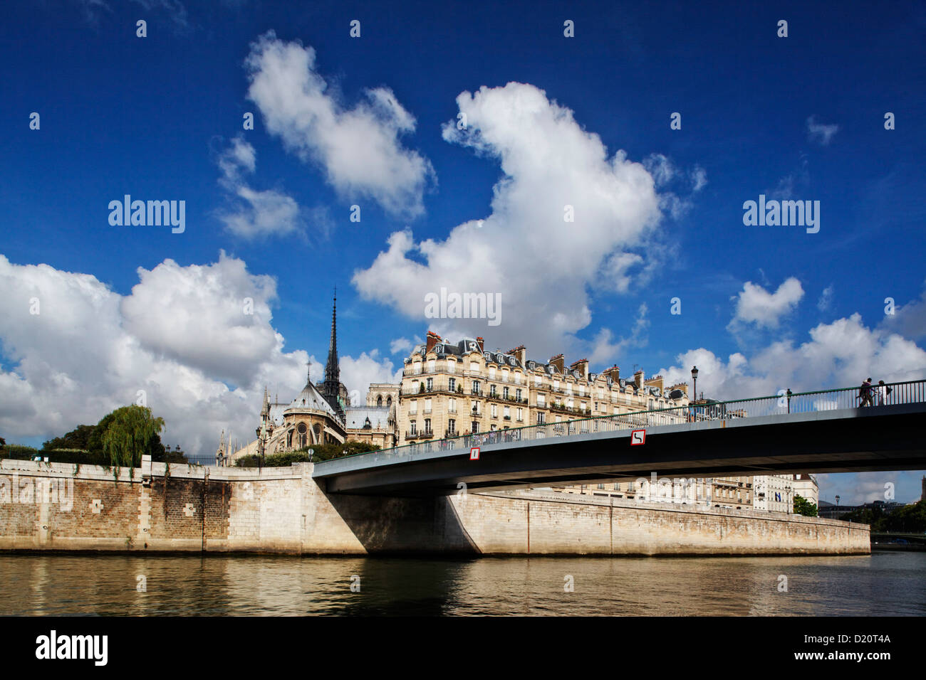 Ile de la Cite, la Senna e la Cattedrale di Notre-Dame sotto il cielo blu, Parigi, Francia, Europa Foto Stock