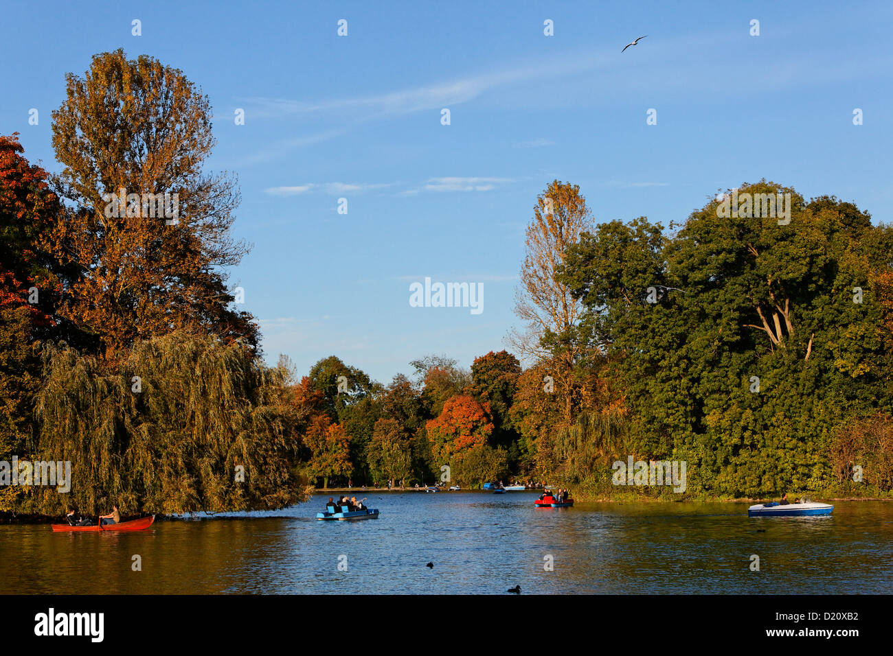 Il lago Kleinhesseloher Vedi in autunno, Englischer Garten, il Giardino Inglese Schwabing Monaco di Baviera, Baviera, Baviera, Germania, Europ Foto Stock