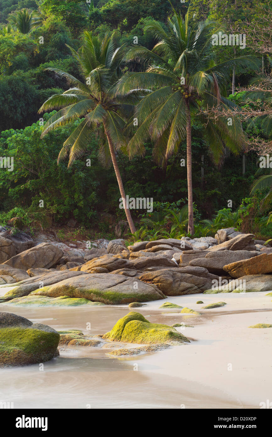 Thong Reng Beach, Koh Phangan Isola, Thailandia Foto Stock