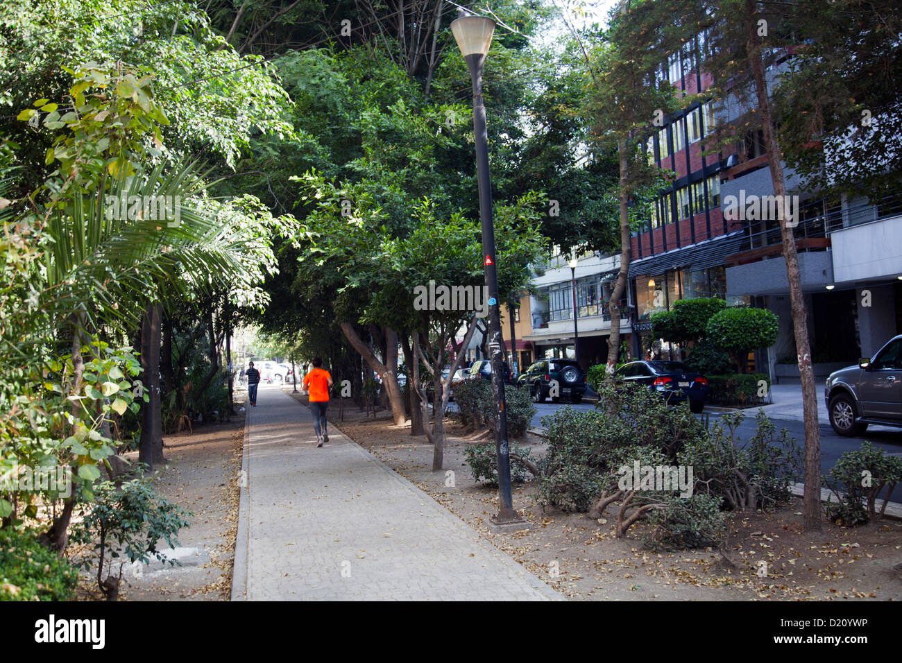 La passerella lungo Avenida Amsterdam in Condesa - quartiere alla moda in città del Messico DF Foto Stock