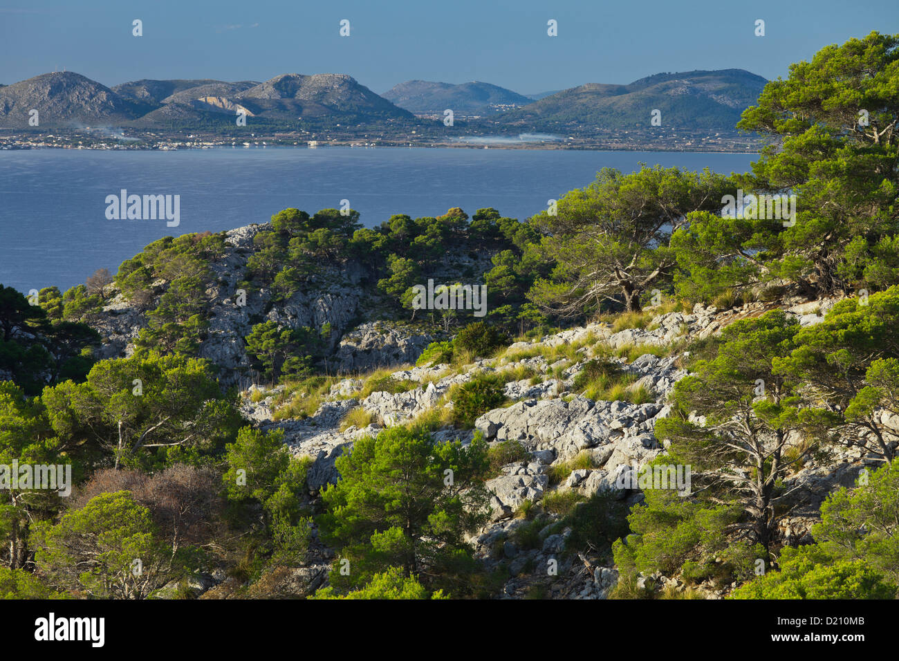 Vista da Cap de Formentor sulla baia di Pollenca, Maiorca, SPAGNA Foto Stock