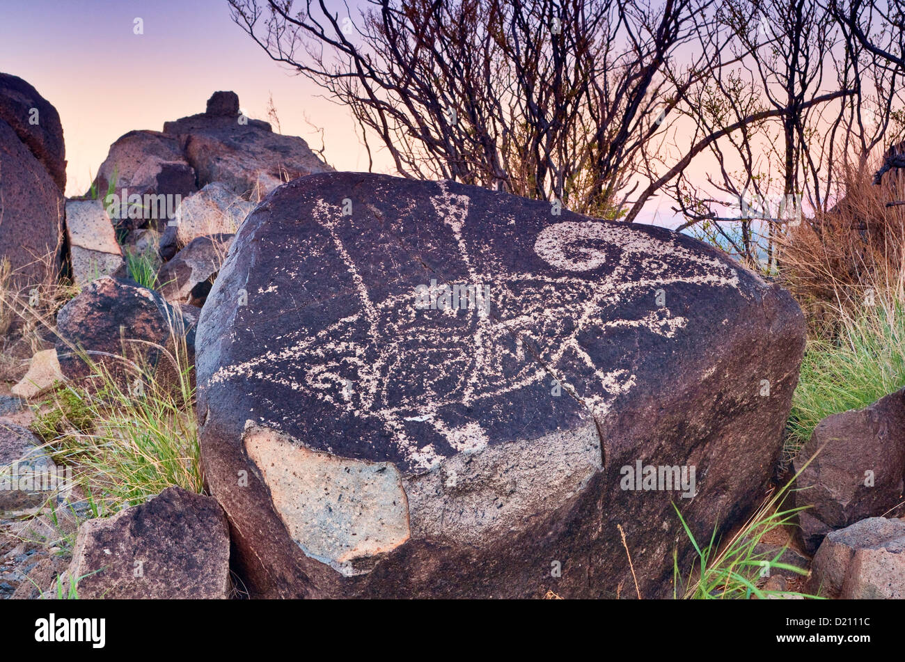 Bighorn colpire con le frecce, Jornada Mogollon stile arte rupestre a tre fiumi Petroglyph Sito, Nuovo Messico, STATI UNITI D'AMERICA Foto Stock