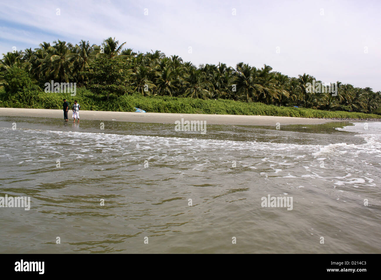 Lungo tratto di alberi di cocco mare kearala India Foto Stock