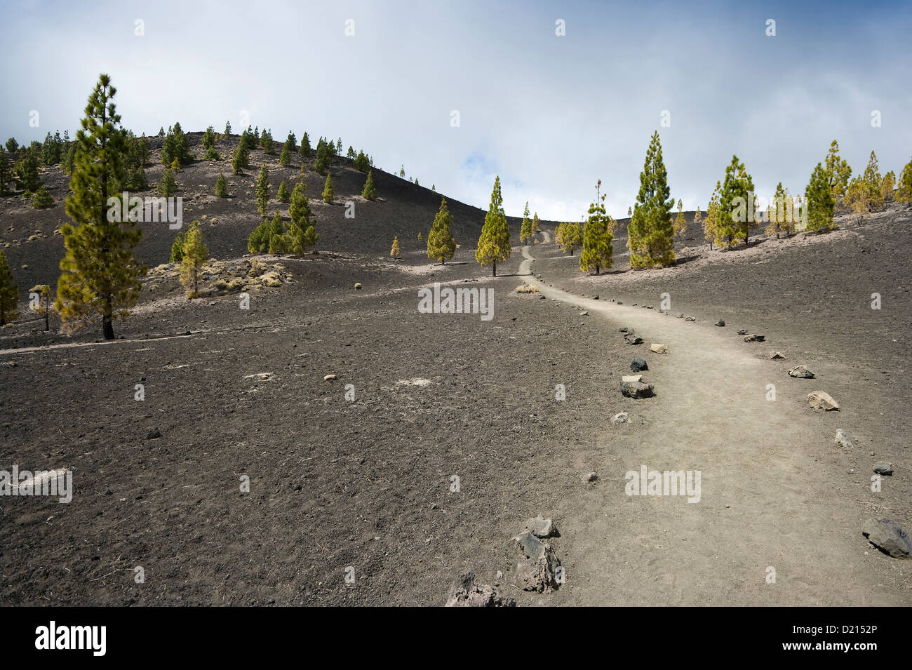 Mirador de Chio, Teide Nationalpark, Tenerife, Isole Canarie, Spagna, Europa Foto Stock