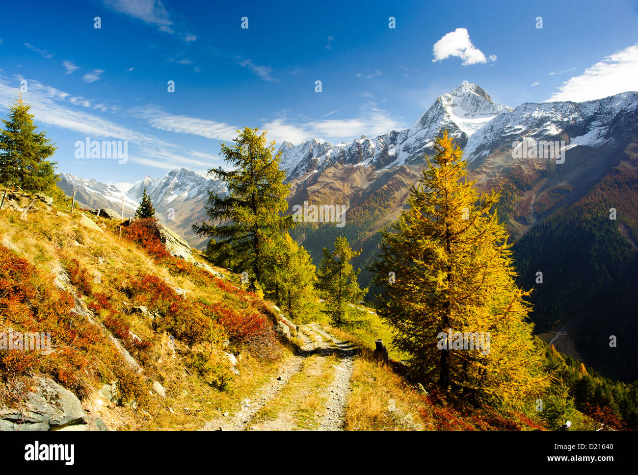 Bietschorn picco di montagna in autunno con il sentiero escursionistico. Vista da Laucheralp, Loetschental, Vallese, Svizzera Foto Stock