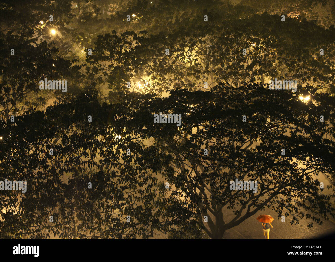 Angolo di alta vista sugli alberi a Salcedo parco sotto la pioggia, Makati Manila, Filippine, Asia Foto Stock