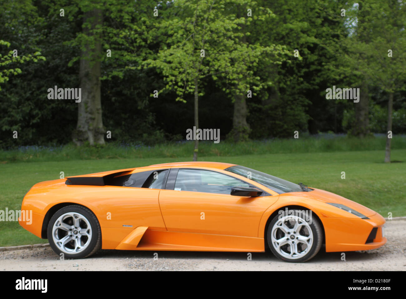 Lamborghini Murcielago supercar Foto Stock