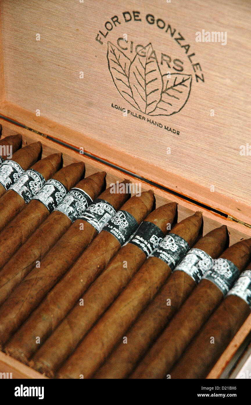 La Pintada (Panama): realizzazione di un sigaro in Joyas de Panamá manufactory Foto Stock