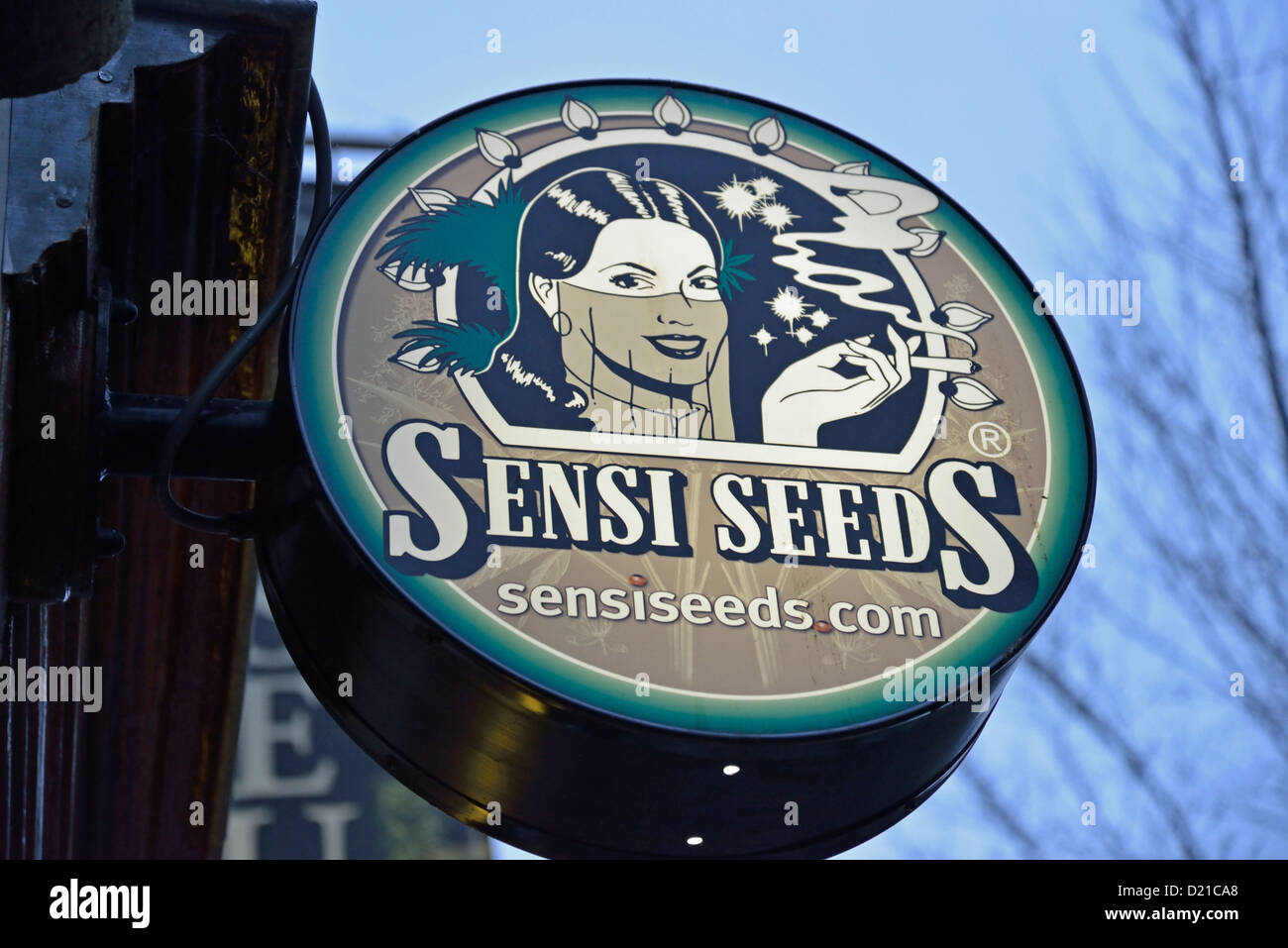 'Sensiseeds' semi di cannabis e di coltivazione shop segno nel quartiere a luci rosse, De Walletjes, Amsterdam Noord Holland, Paesi Bassi Foto Stock