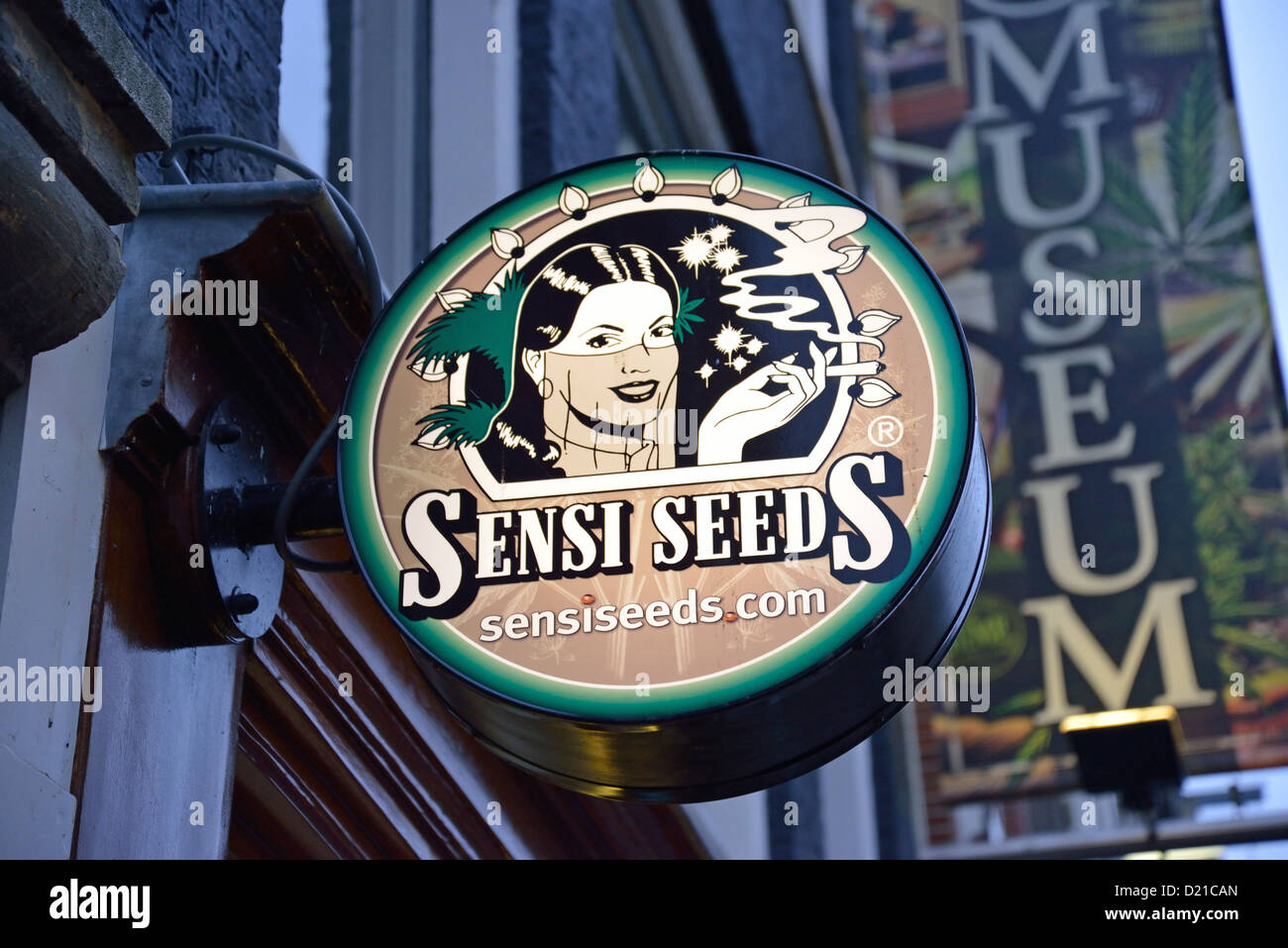 'Sensiseeds' semi di cannabis e di coltivazione shop segno nel quartiere a luci rosse, De Walletjes, Amsterdam Noord Holland, Paesi Bassi Foto Stock
