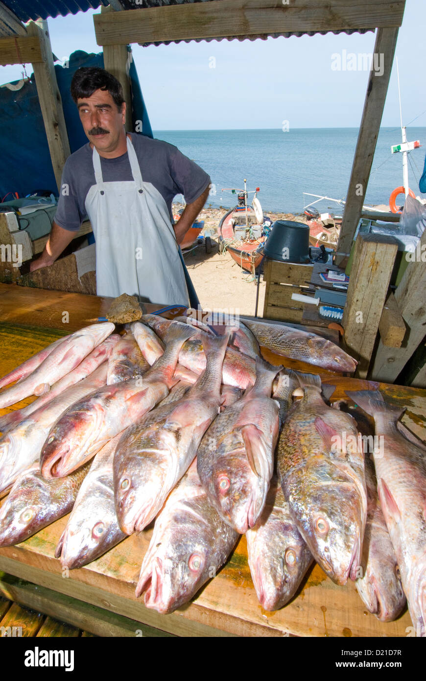 Outdoor mercato del pesce in Piriapolis Uruguay Foto Stock