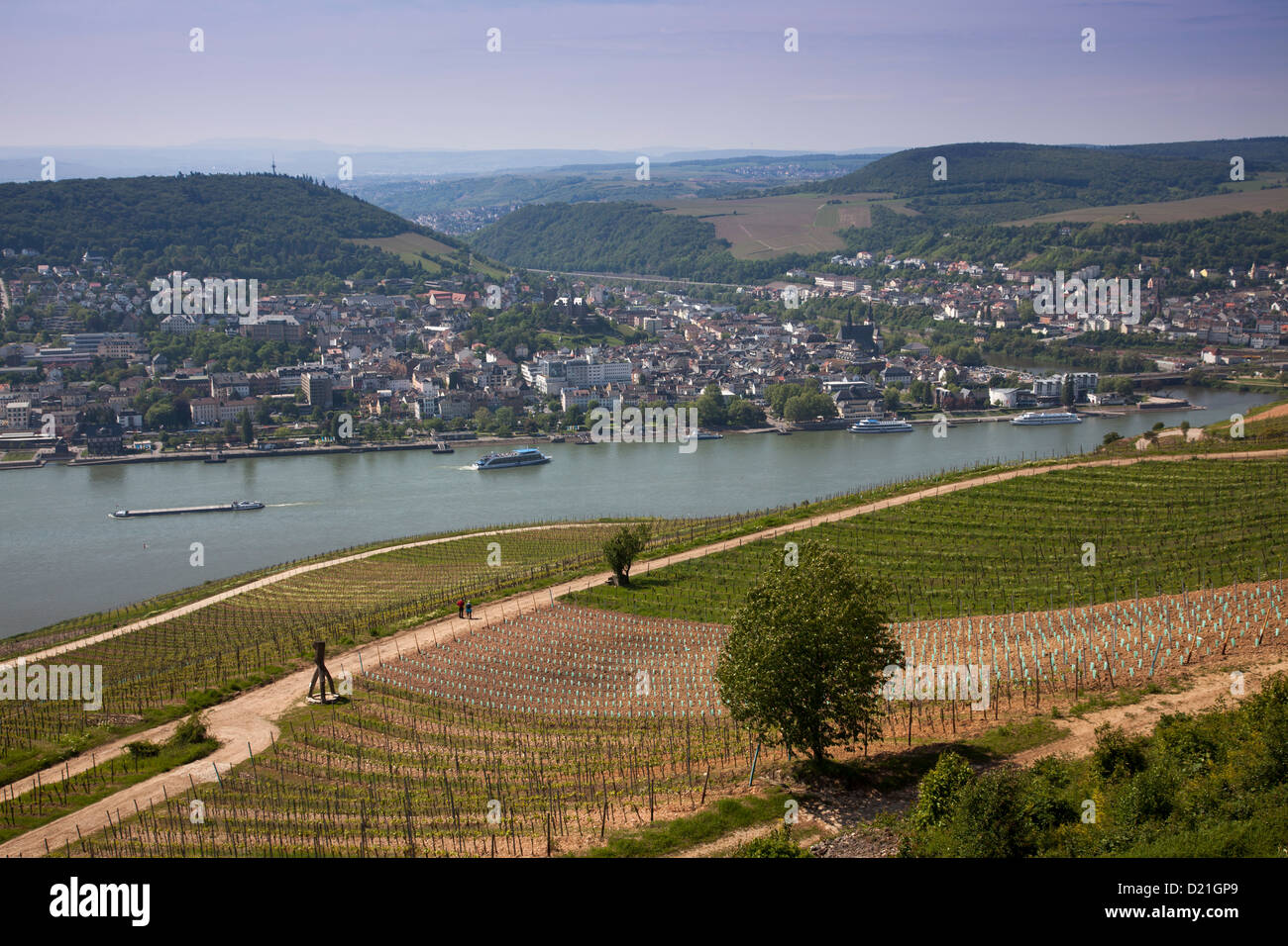 Vista attraverso i vigneti, il fiume Reno e Bingen dal monumento Niederwalddenkmal, Rudesheim am Rhein, Hesse, Germania, Europa Foto Stock