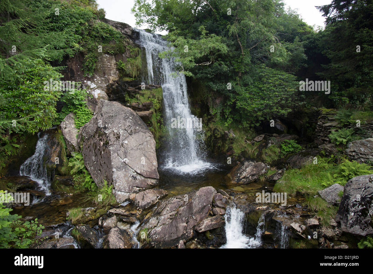 La cascata nel Parco Nazionale di Snowdonia visto da Ffestiniog a scartamento ridotto ferroviario del patrimonio, vicino Coed-y-Bleiddiau, Gwynedd, Galles Foto Stock