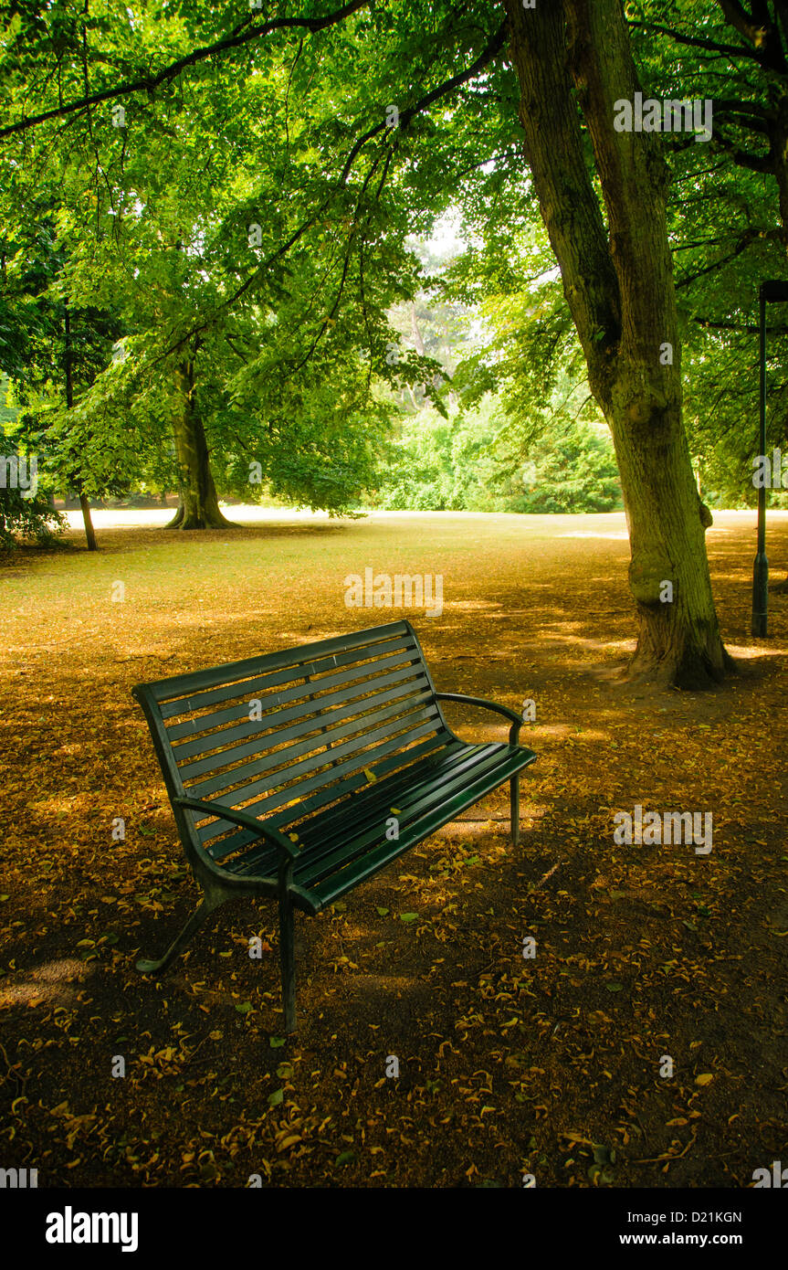 Un banco di solitario circondato da alberi e una bella passeggiata in un parco silenzioso Foto Stock