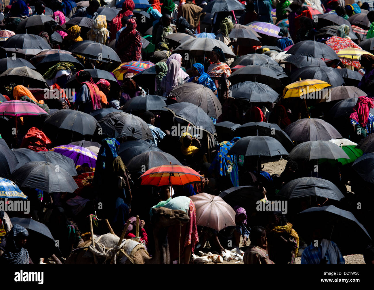 Giorno di mercato, Bati, Amhara Region, Etiopia Foto Stock