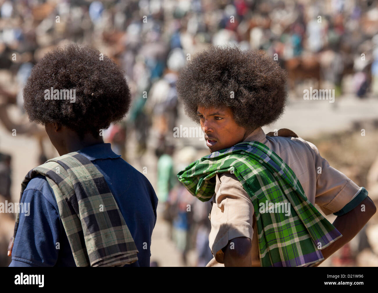 Lontano gli uomini, Bati, Amhara Region, Etiopia Foto Stock
