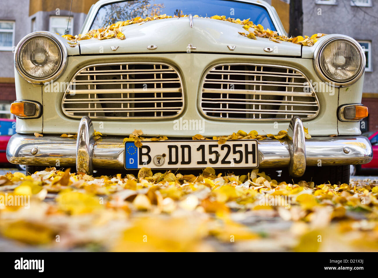 Foglie di autunno giacciono sul cofano del motore di un antico auto in Berlino, Germania. Foto Stock