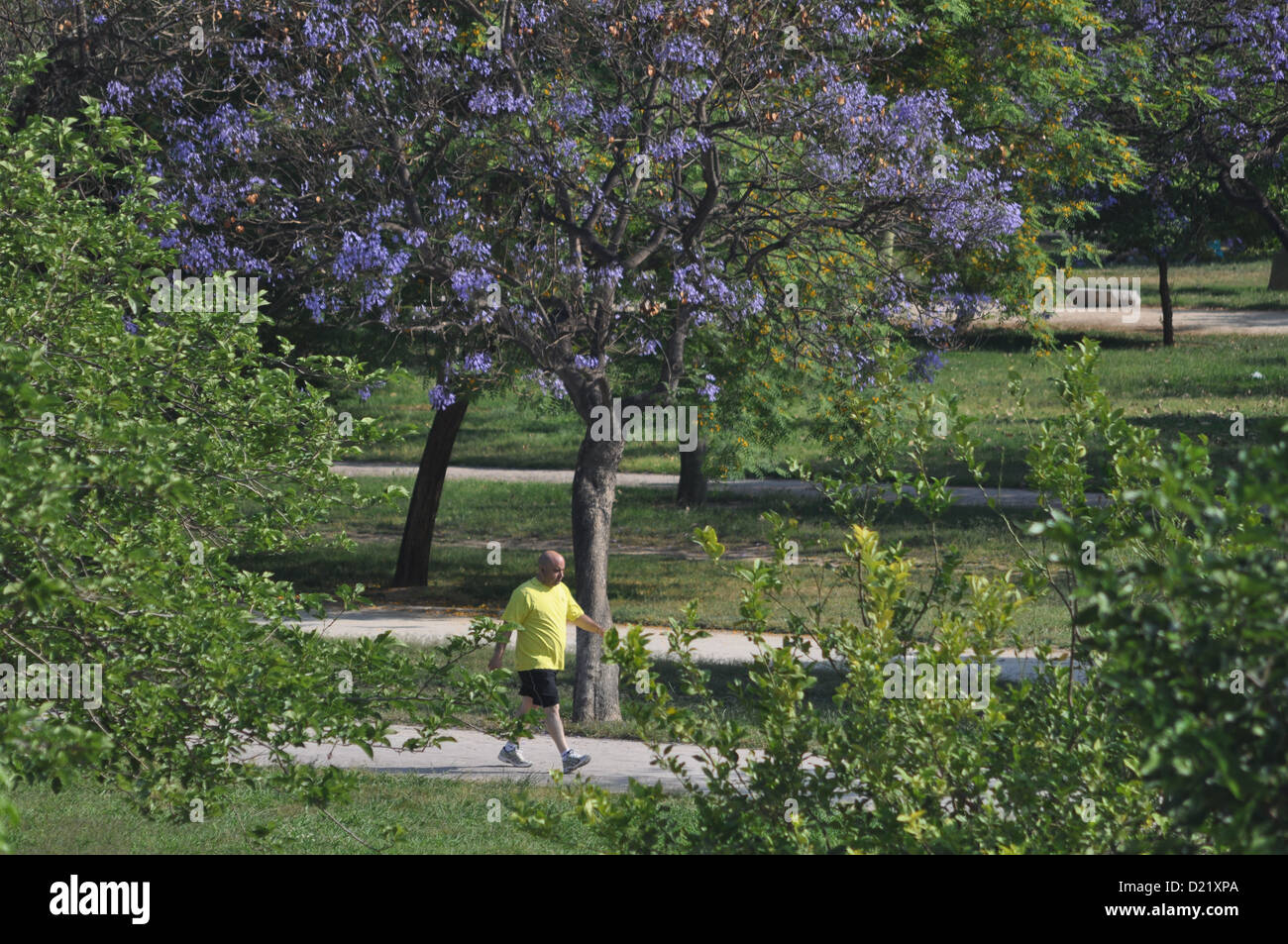 Valencia, Spagna: Jardí del Túria Foto Stock