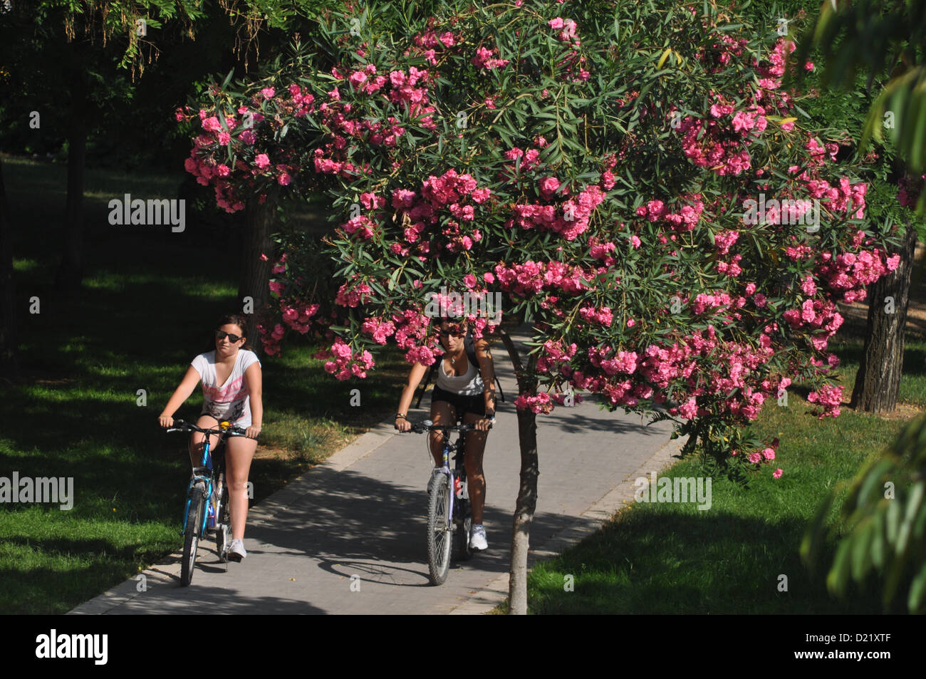 Valencia, Spagna: Jardí del Túria Foto Stock