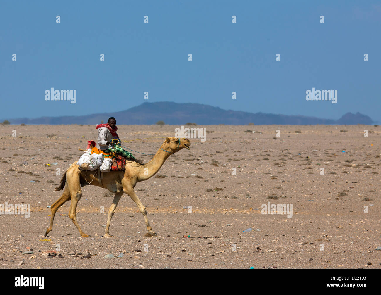 Uomo sulla coral, Obock, Gibuti Foto Stock