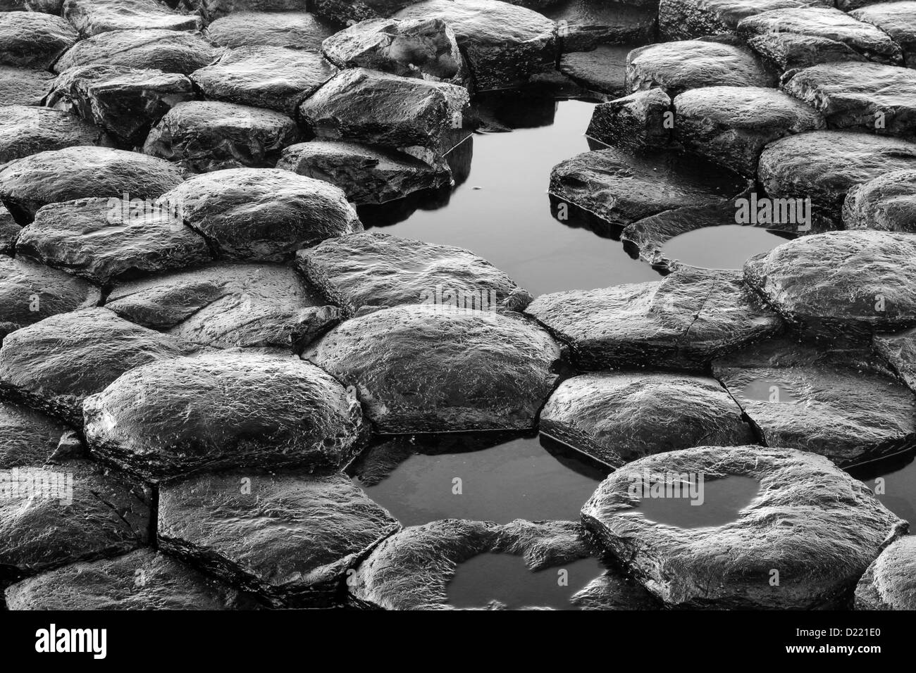 Dettagli in bianco e nero della texture della esagonale rocce basaltiche motivo dal famoso Giant's Causeway, in Irlanda del Nord. Foto Stock