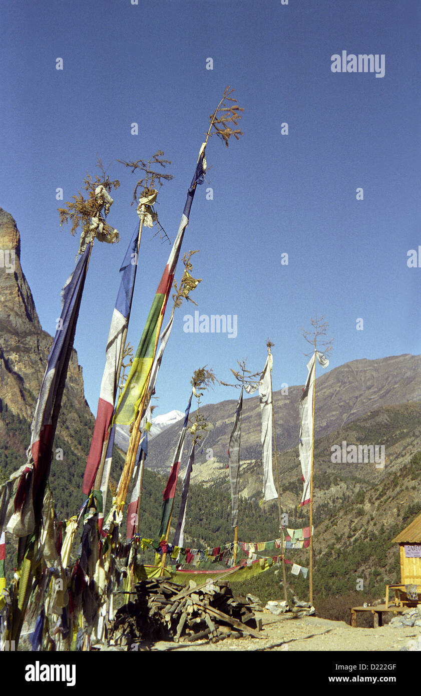 Bandiere di preghiera la neve di picco e di Valle Marsyangdi da Upper Pisang sul circuito di Annapurna Himalaya Nepal Foto Stock