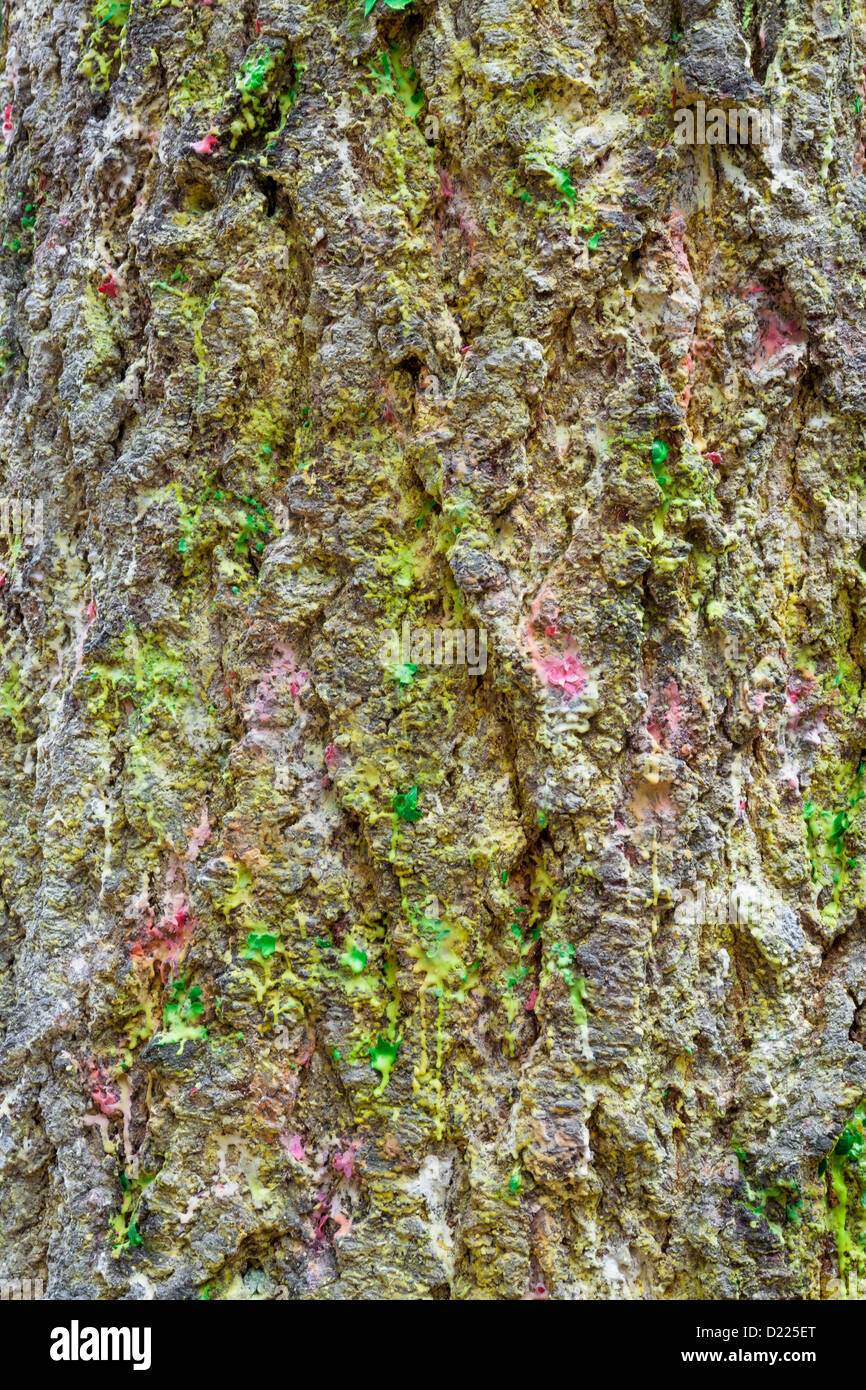 Coperti di vernice tronco di albero sul campo di paintball, Oregon Foto Stock