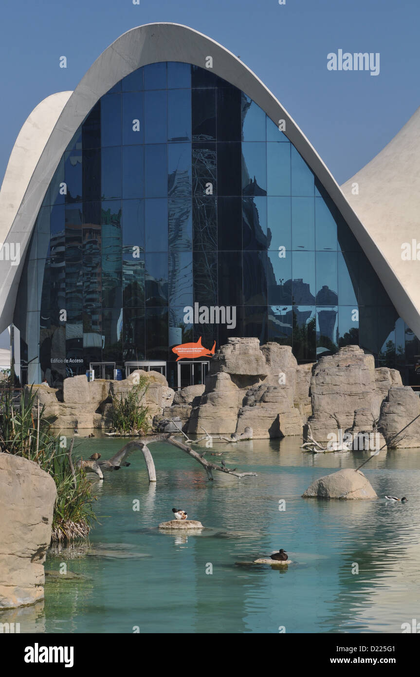 Valencia, Spagna: L'Oceanogràfic, alla Ciudad de las Artes y las Ciencias Foto Stock