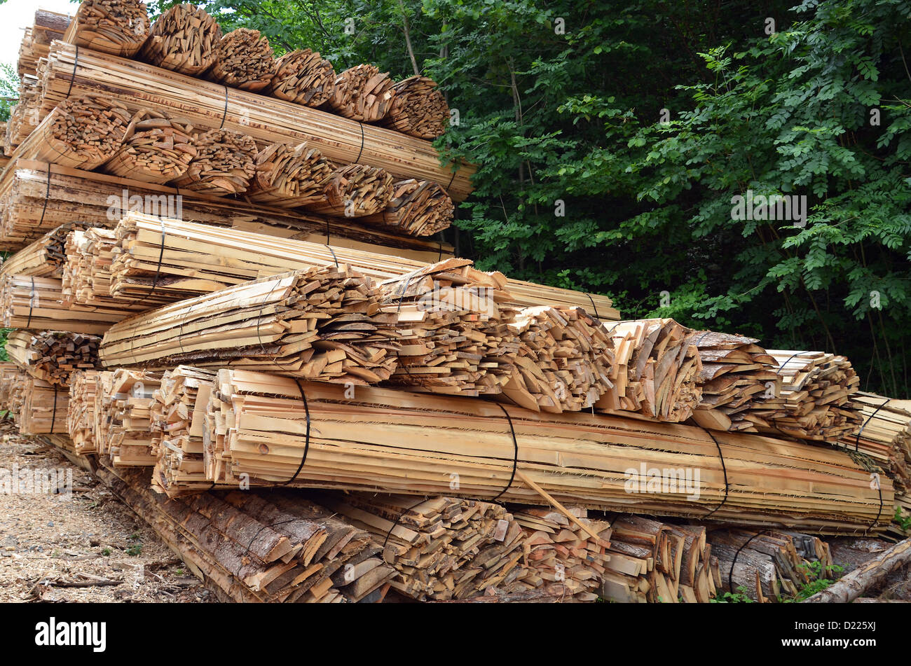 Grandi lunghezze delle talee di legno e gli avanzi di segheria, impilate in su e in attesa di raccolta. Foto Stock