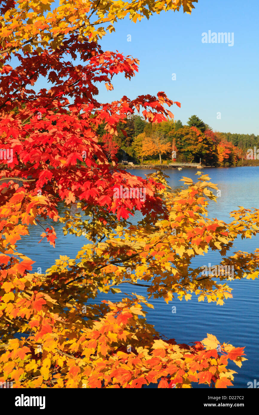 Lago Megunticook, Camden, Maine, Stati Uniti d'America Foto Stock