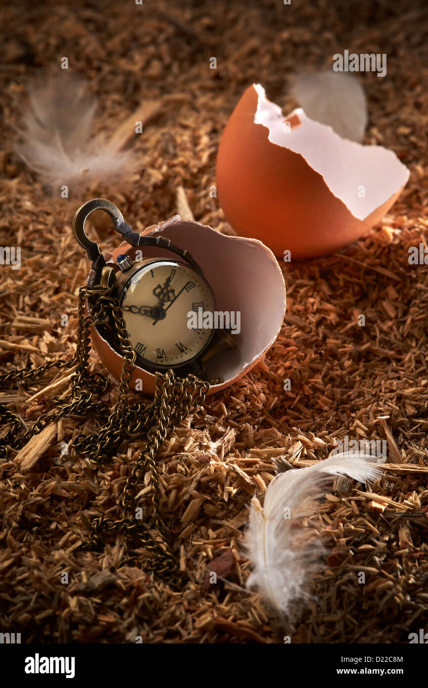 Piccolo orologio vintage in rottura di uovo che posa su segatura e piume Foto Stock