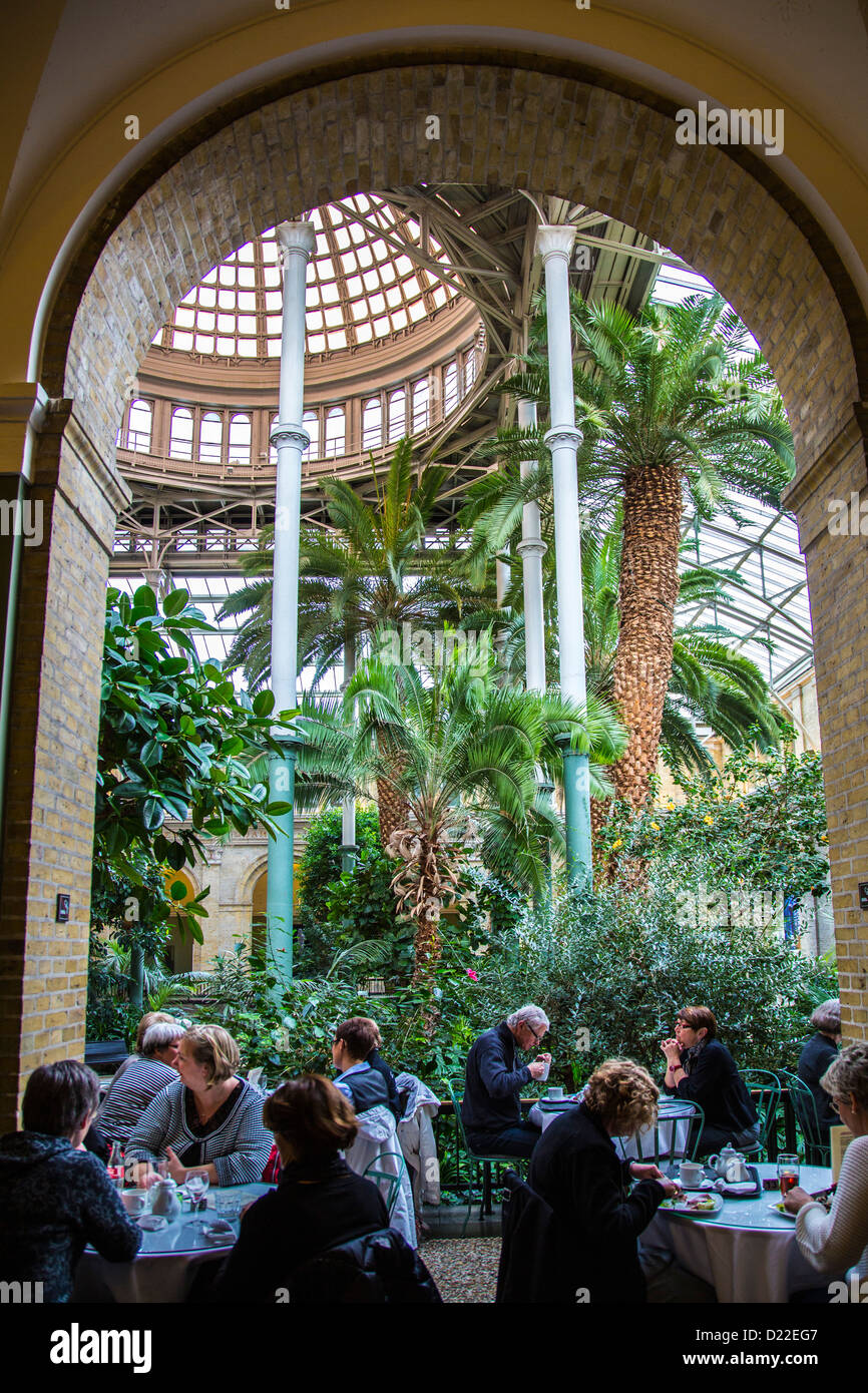 Conservatorio nello storico museo di arte "Ny Carlsberg Glyptotek', café, Copenaghen, Danimarca, Europa Foto Stock