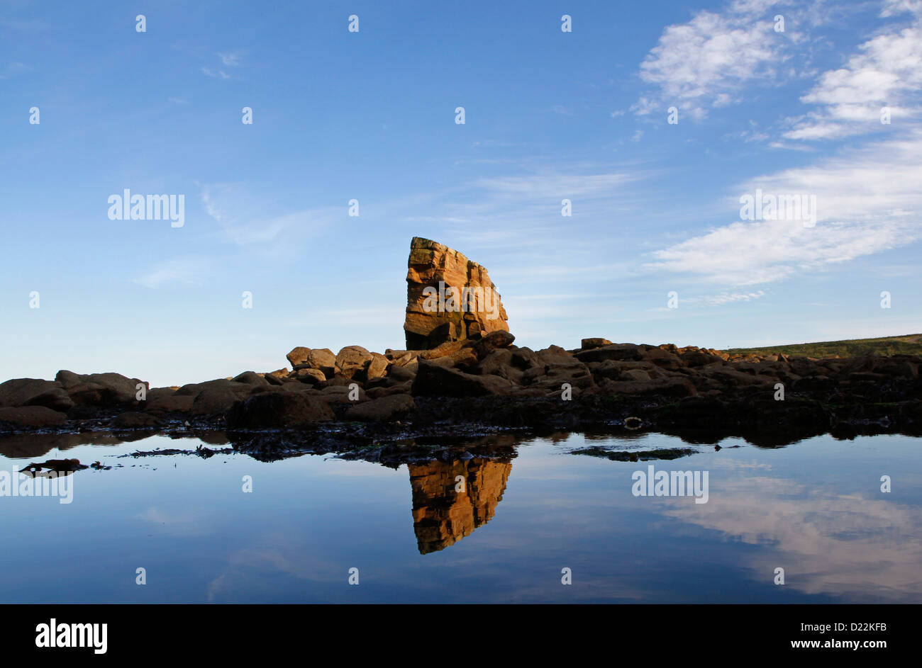 Una pila di mare formazione rocciosa conosciuta come Charlie's Garden, Collywell Bay, Seaton Sluice, Northumberland, England, Regno Unito Foto Stock