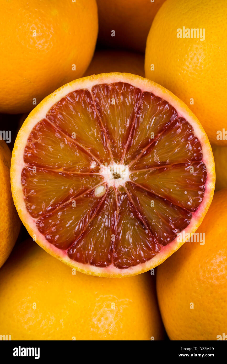 Citrus sinenesis x. Arance sanguigne in una coppa di frutta. Foto Stock