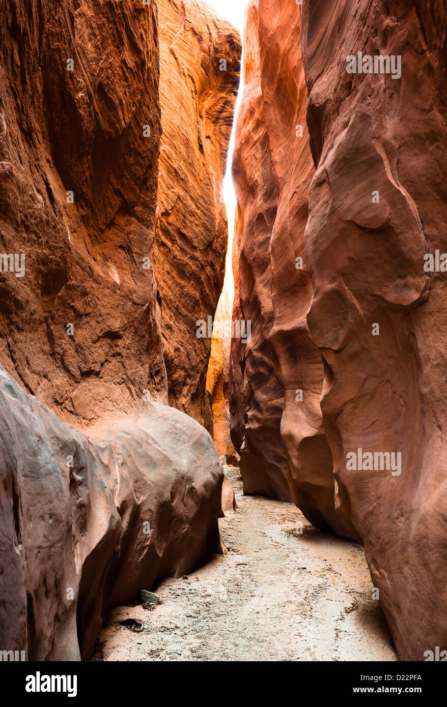 Asciugare cava per forcella canyon, la grande scala del monumento nazionale, Escalante, Utah, Stati Uniti d'America Foto Stock