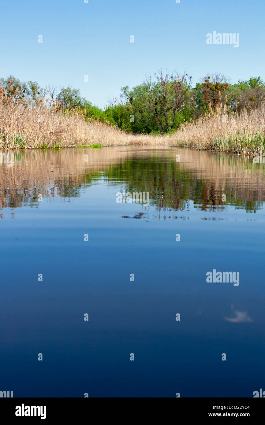 Fiume Ros in estate, Ucraina . Foto Stock