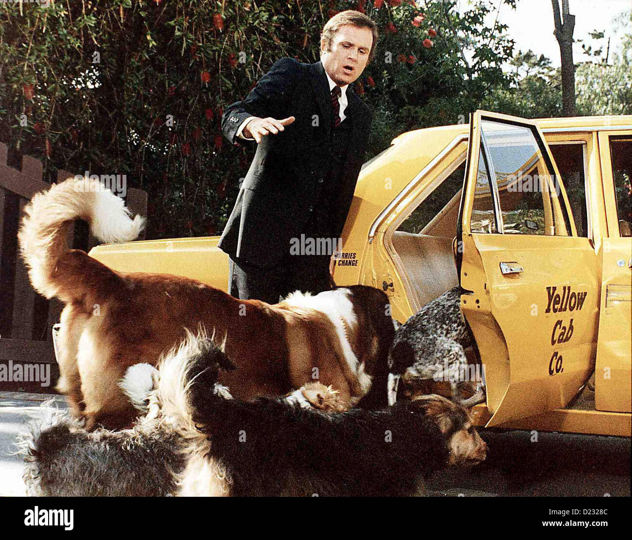 Fast Wie In Alten Zeiten sembra come ai vecchi tempi Charles Grodin Ira (Charles Grodin) muss sich das Haus mit diversen Hunden Foto Stock